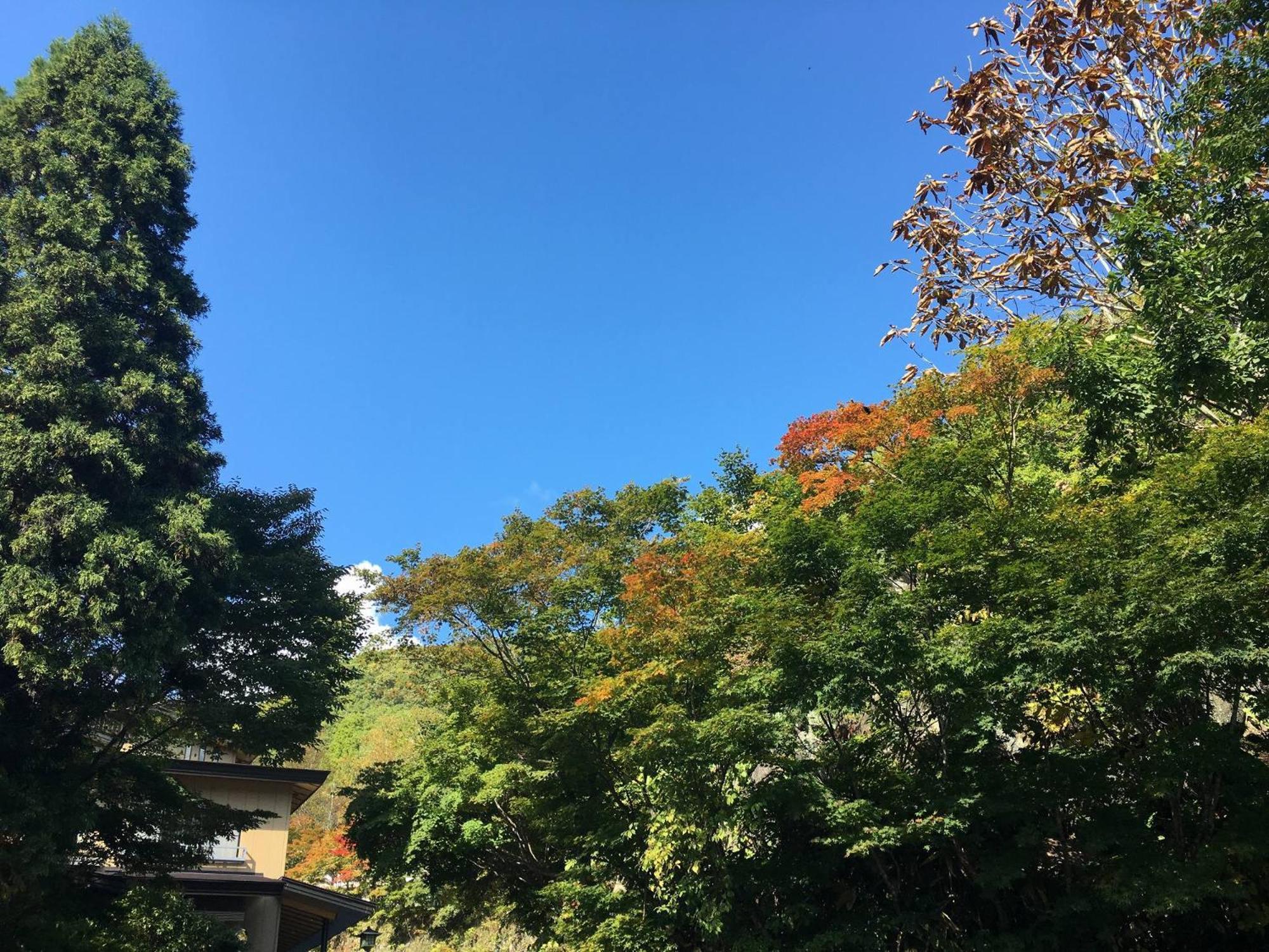 Takaragawa Onsen Ousenkaku Hotel Minakami Exterior foto